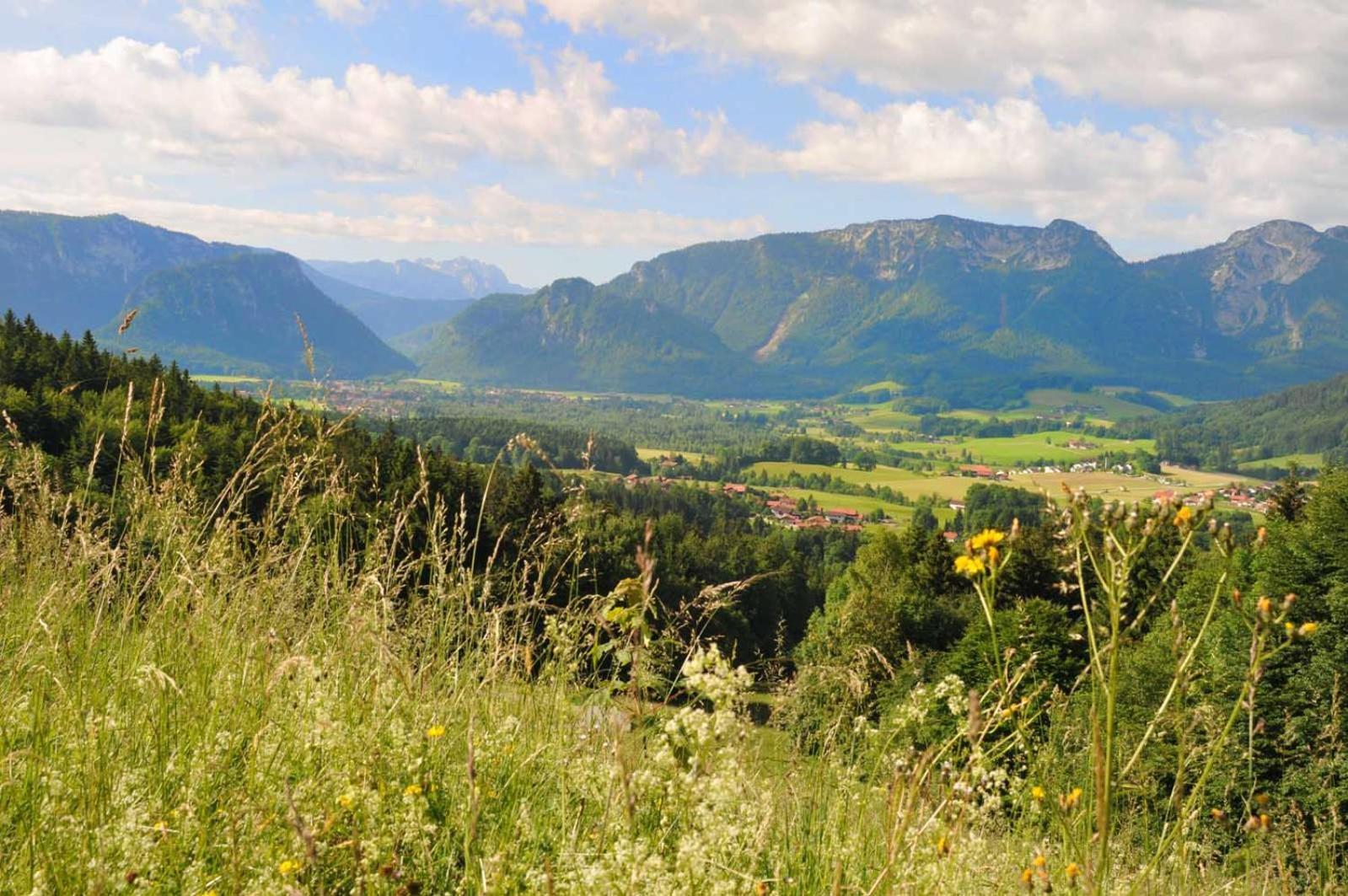 Ferienwohnungen Im Alpengaestehaus Marzoll - Bad Reichenhall Kültér fotó