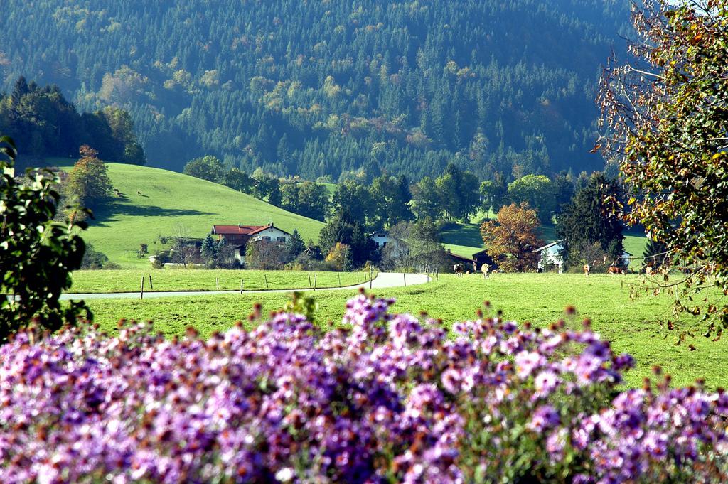 Ferienwohnungen Im Alpengaestehaus Marzoll - Bad Reichenhall Kültér fotó
